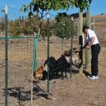 cambria2012_0052 (November 02, 2012)